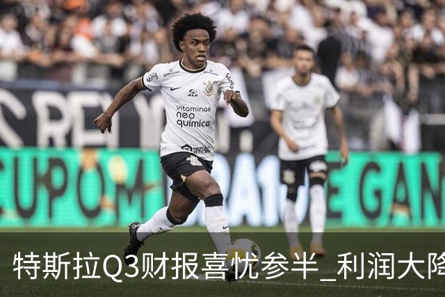 特斯拉Q3财报喜忧参半 利润大降56% 马斯克立下flag：2030年年产500万辆