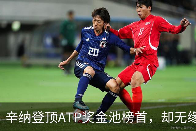 辛纳登顶ATP奖金池榜首，却无缘450万美元巨额奖励