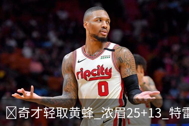 🏀奇才轻取黄蜂 浓眉25+13 特雷·杨21+7+9 状元迪班萨17+8