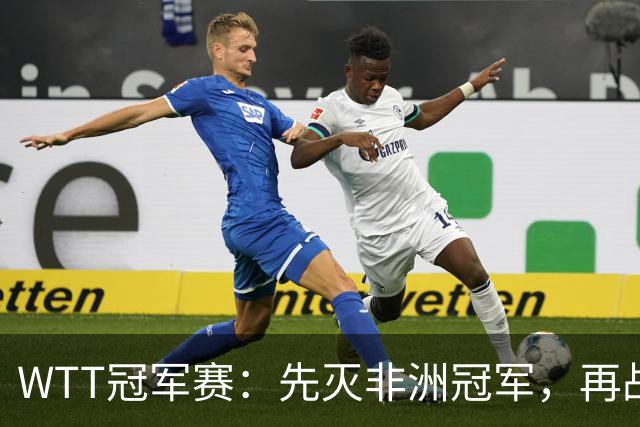 WTT冠军赛：先灭非洲冠军，再战亚洲冠军！王曼昱3-0汉娜高达